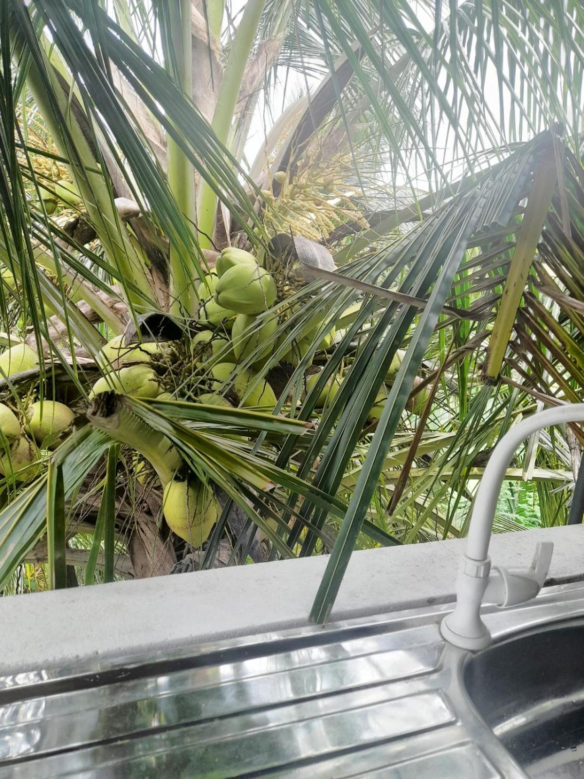 تانجالي Dinuri Villa المظهر الخارجي الصورة