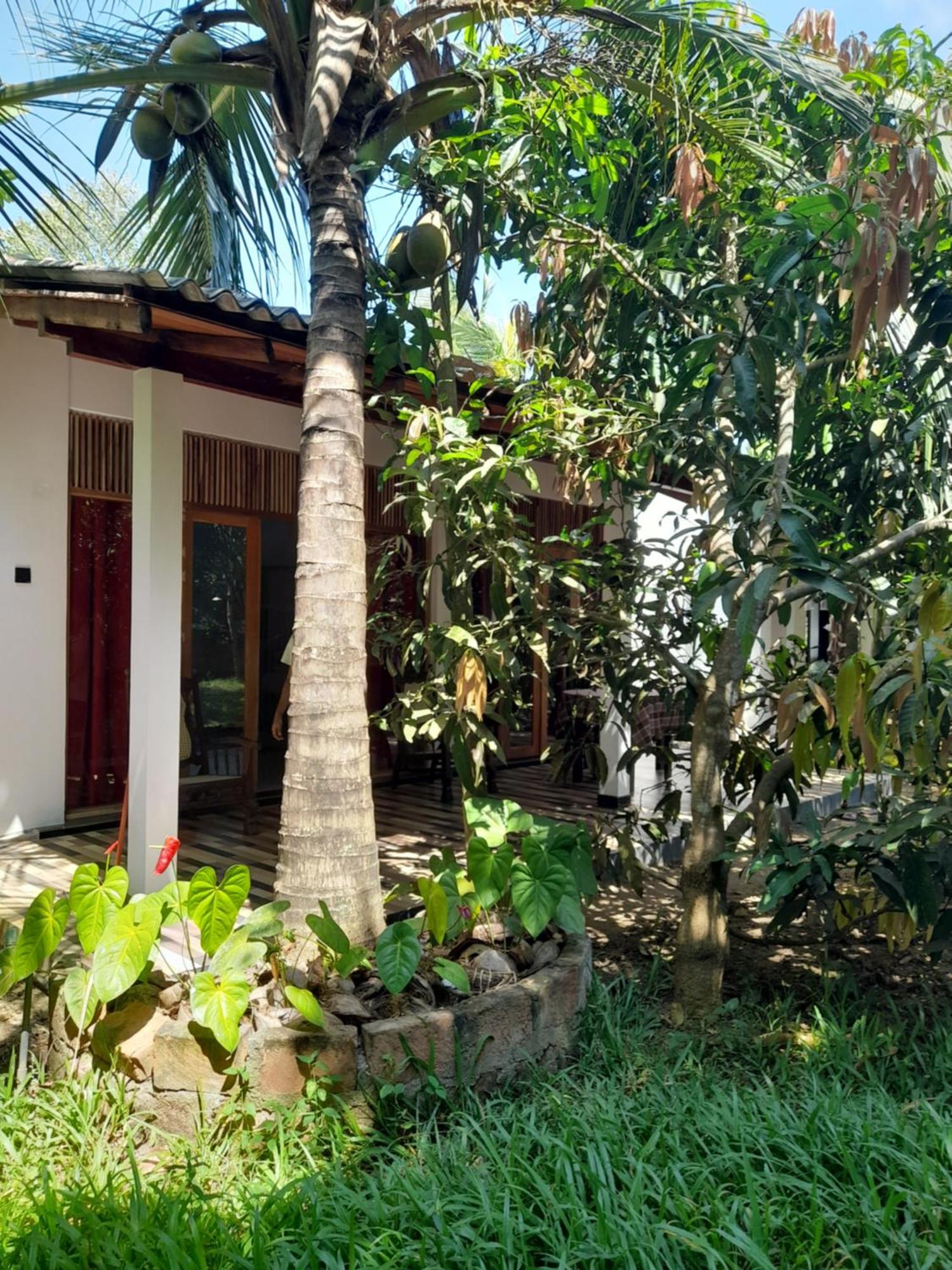 تانجالي Dinuri Villa المظهر الخارجي الصورة